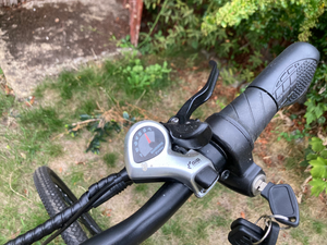 Troy Citybike 2023