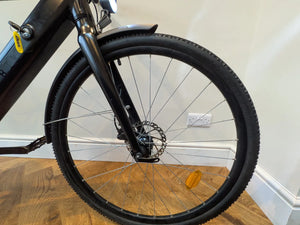 Buzzbike EZ 2022