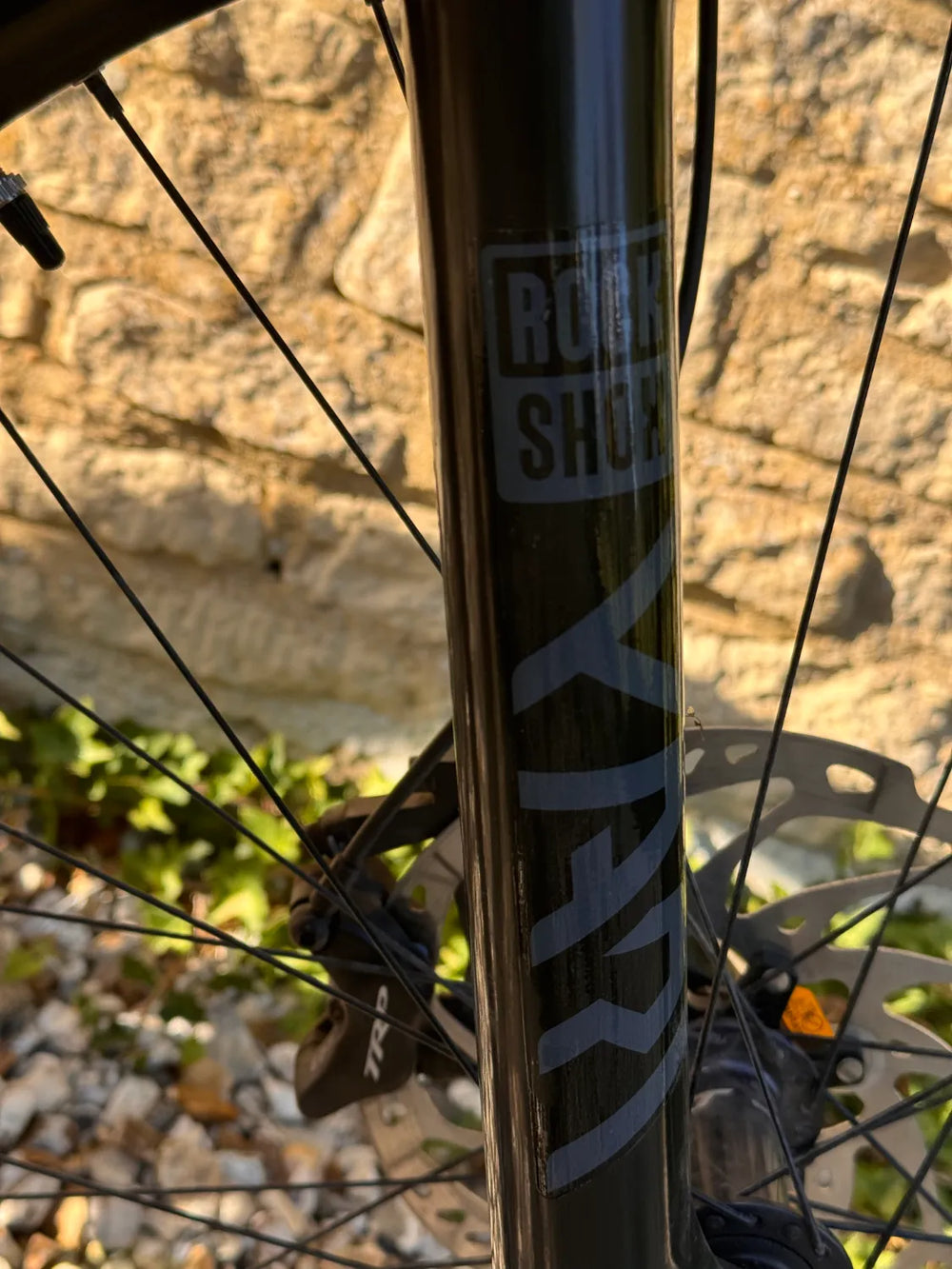 Kellys Thorx 29 2025