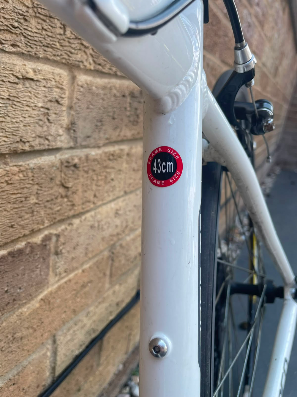 Carrera TDF Ltd 2013