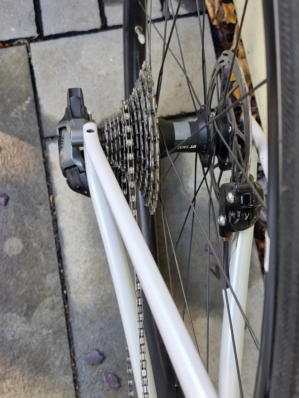 Specialized Roubaix SL8 Expert 2024