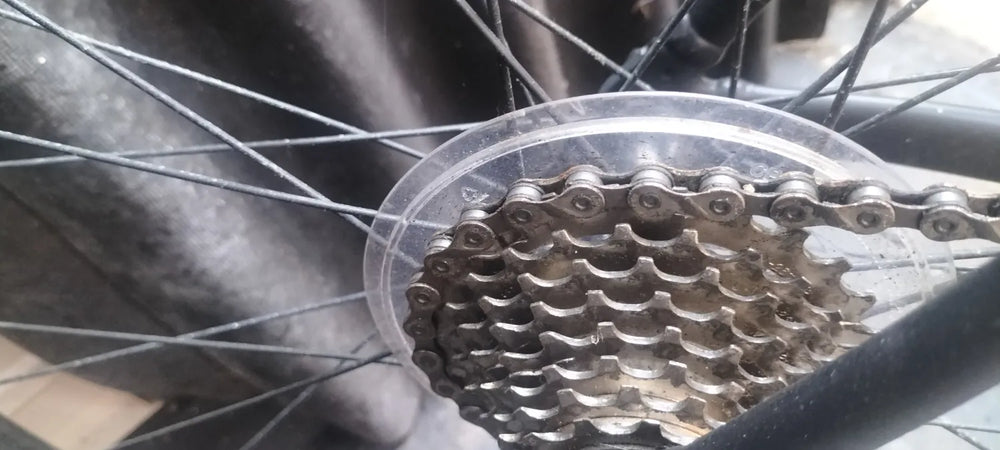 ORBEA Avant H55 2022