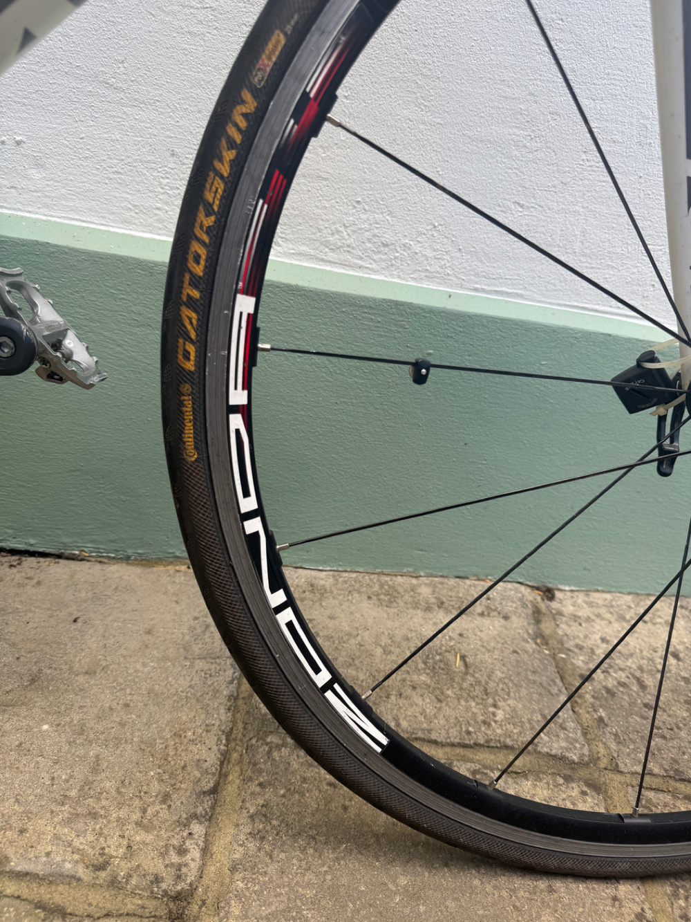 Giant TCR Advanced 2010