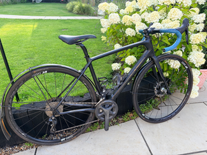 Focus Donna Ultegra 2018