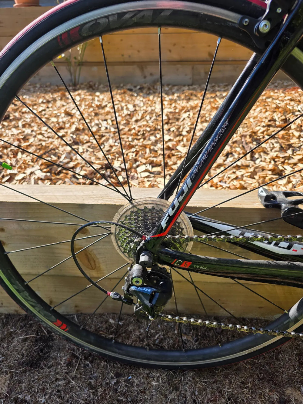 Fuji Transonic 1.1 2020