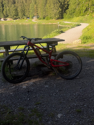 Nukeproof Giga Carbon Pro 290/297 2026