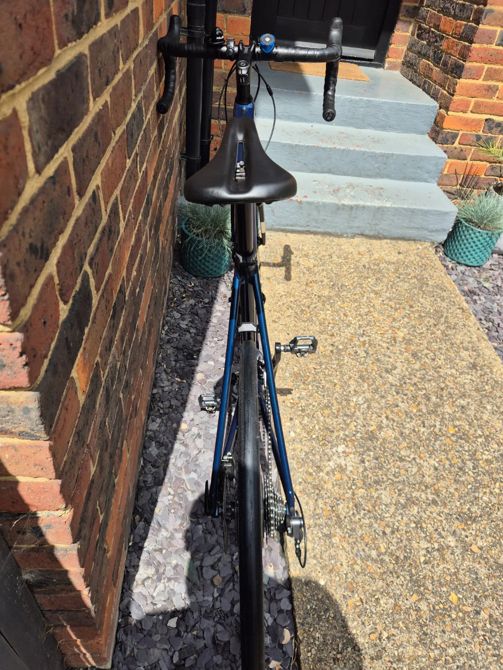 Trek Domane AL 2 Disc 2022