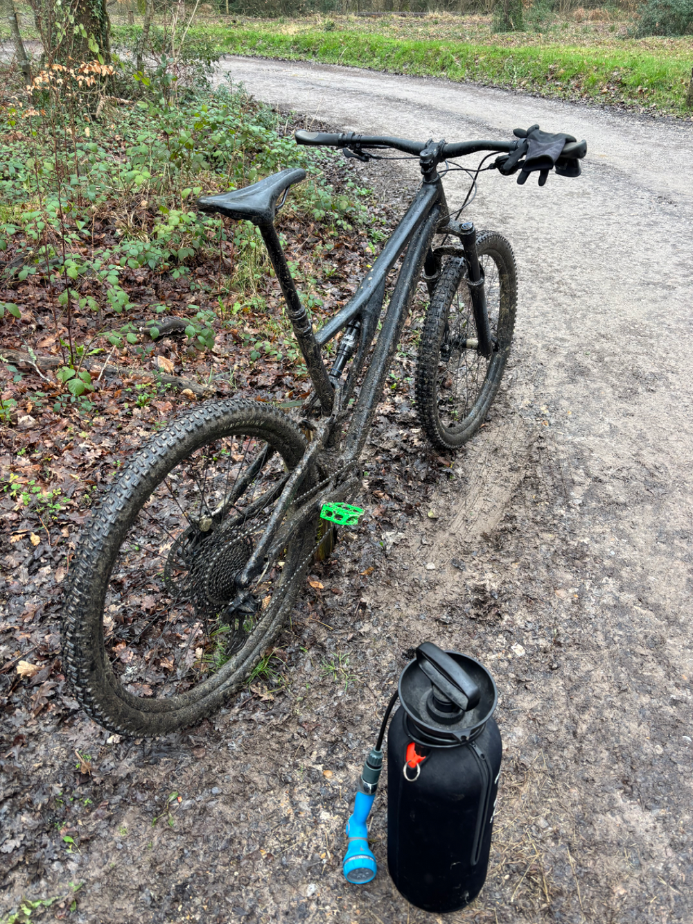 Specialized Stumpjumper Alloy 2022