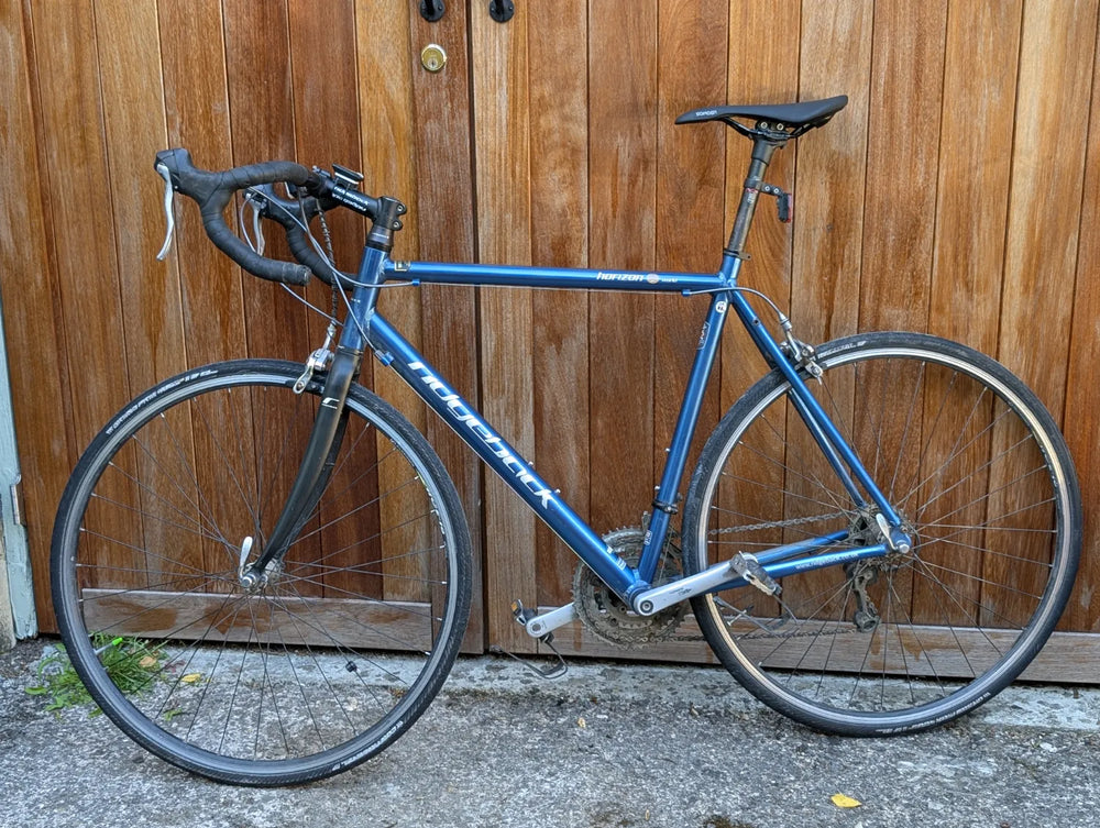 Ridgeback Horizon 2010