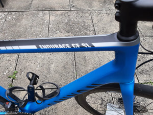 Canyon Endurace CF SL 8 Di2 2022