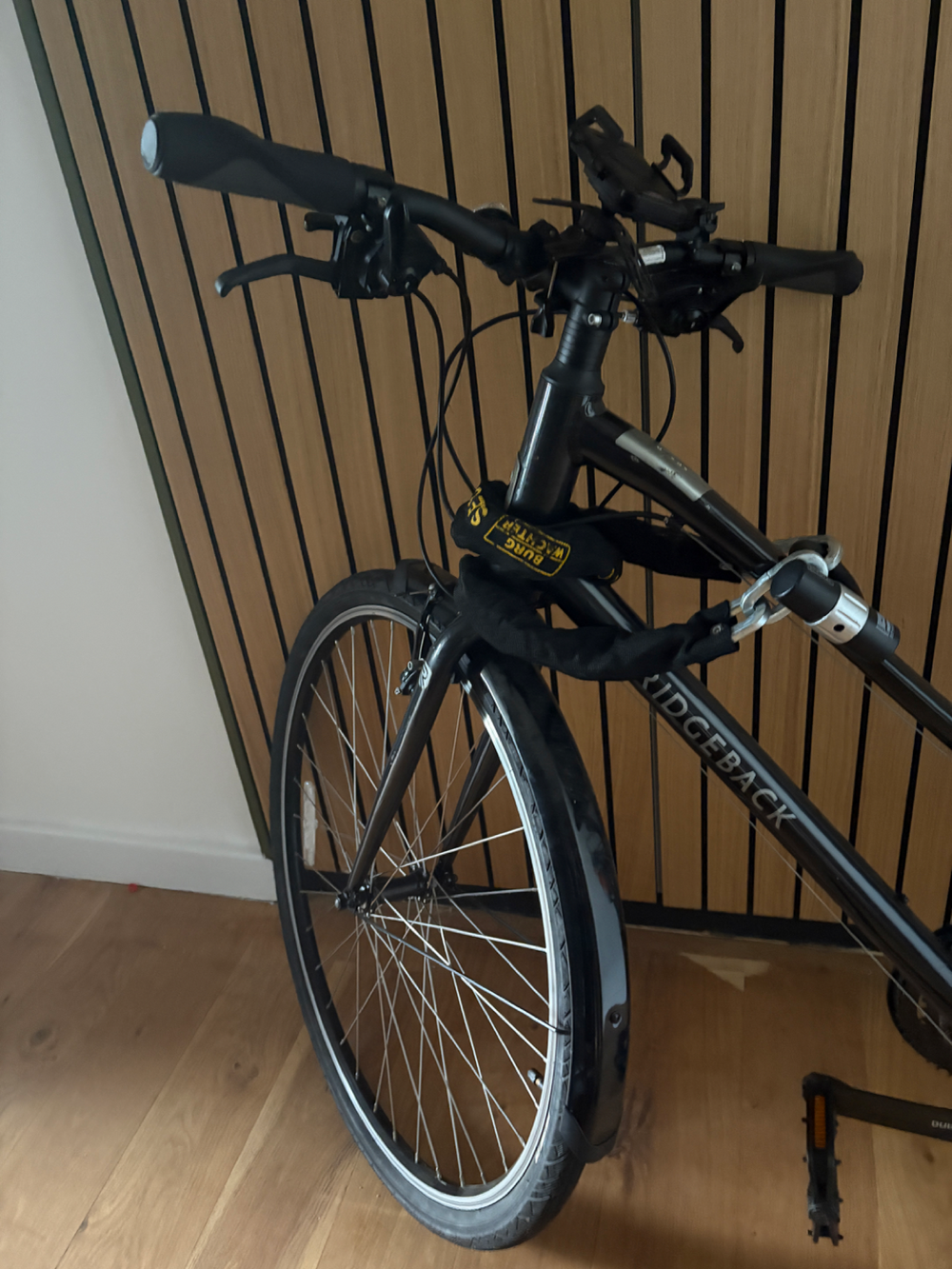 Ridgeback Speed Open Frame 2021