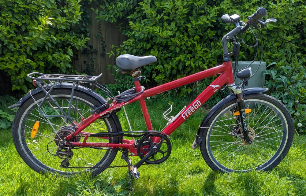 FrreeGo Hawk 2019