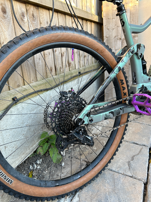 Scott 920 2019