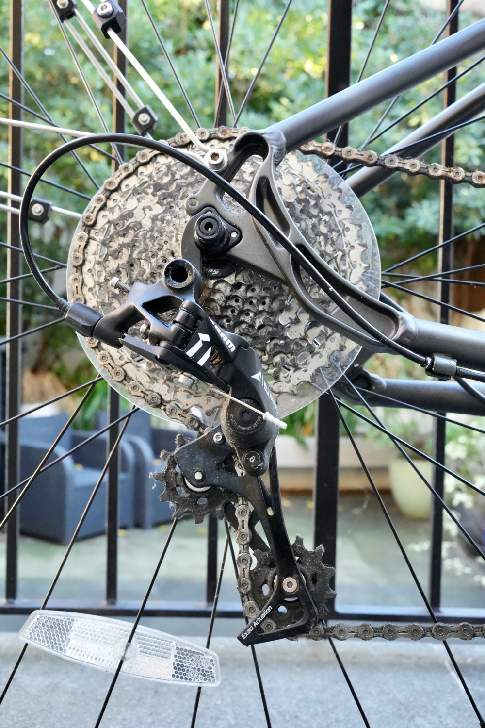 Pinnacle Neon 5 2020