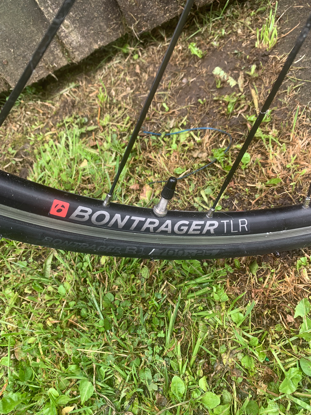 Trek Domane SL 5 Women's 2018