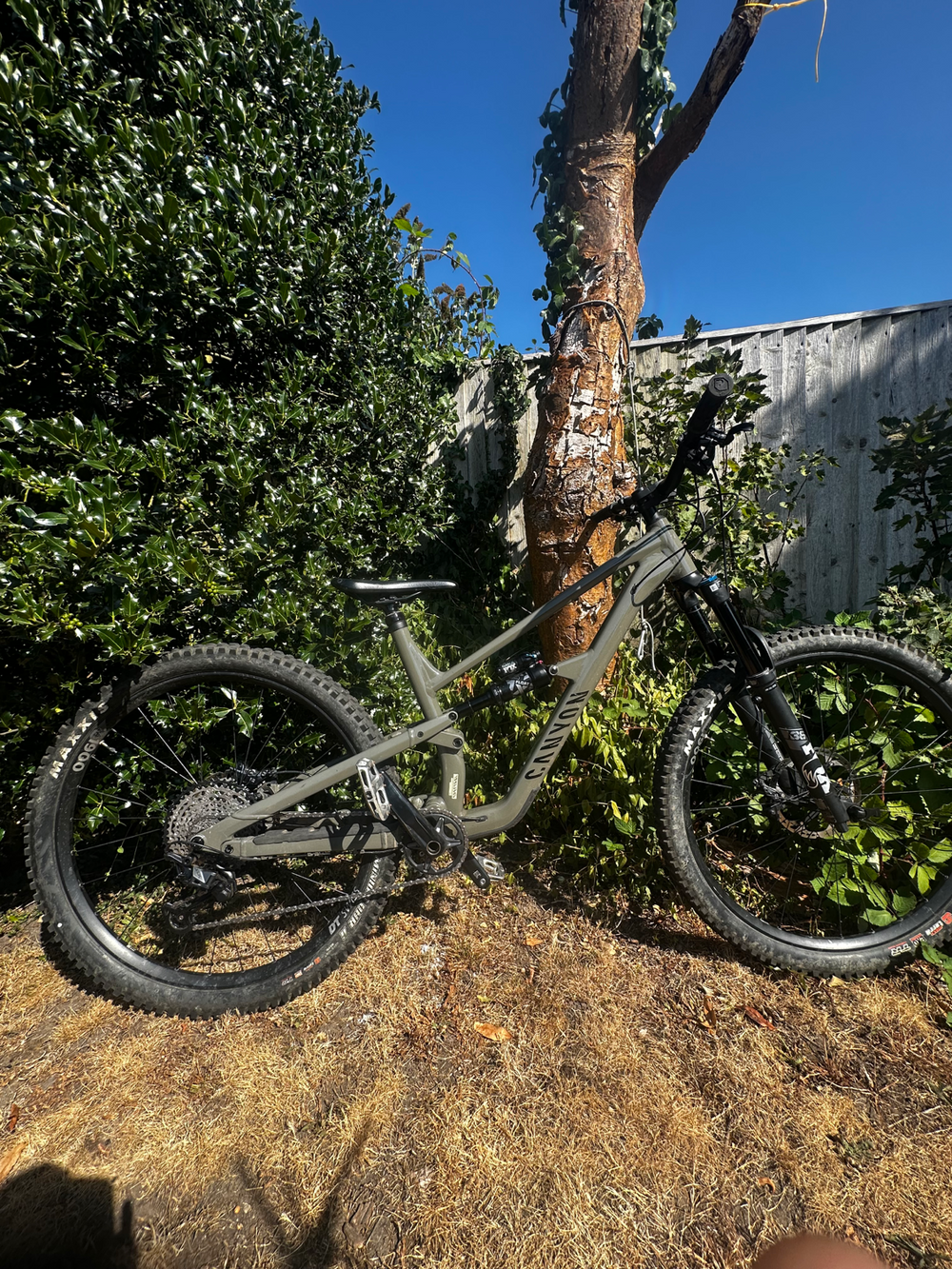 Canyon Spectral 29 6 2022