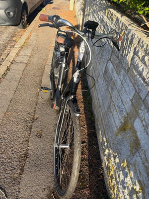 Gazelle Grenoble C7 + By GAZELE 250w E 2019