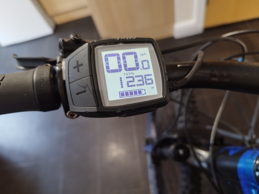 Radon ZR Team Hybrid Active 8.0 2019