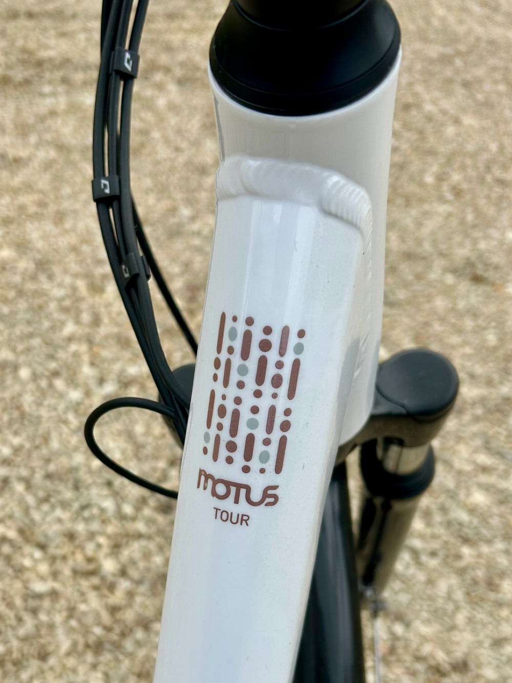 Raleigh MOTUS TOUR 2020