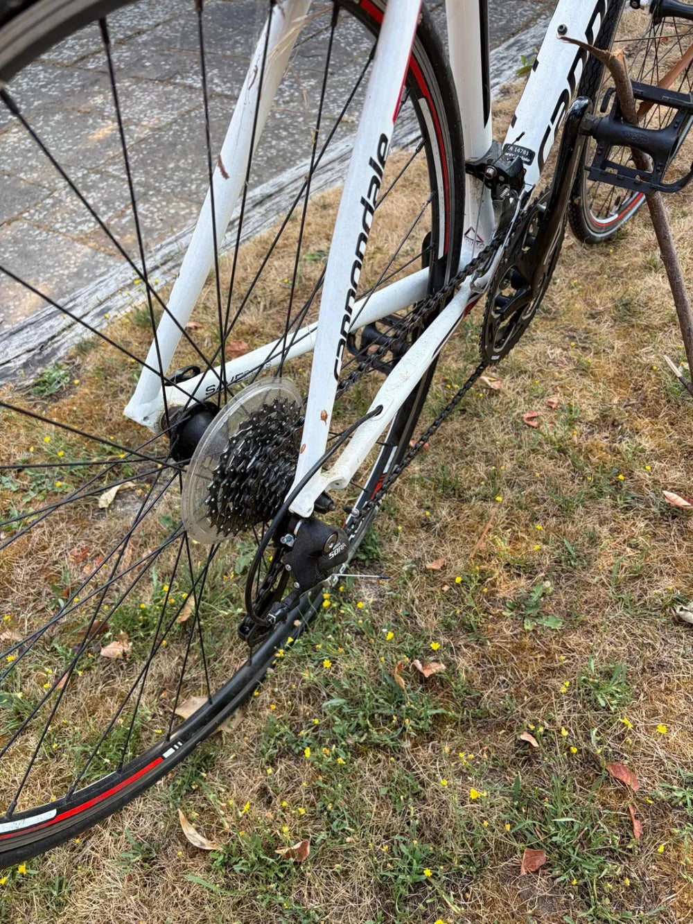 Cannondale Synapse Alloy Sora 2012