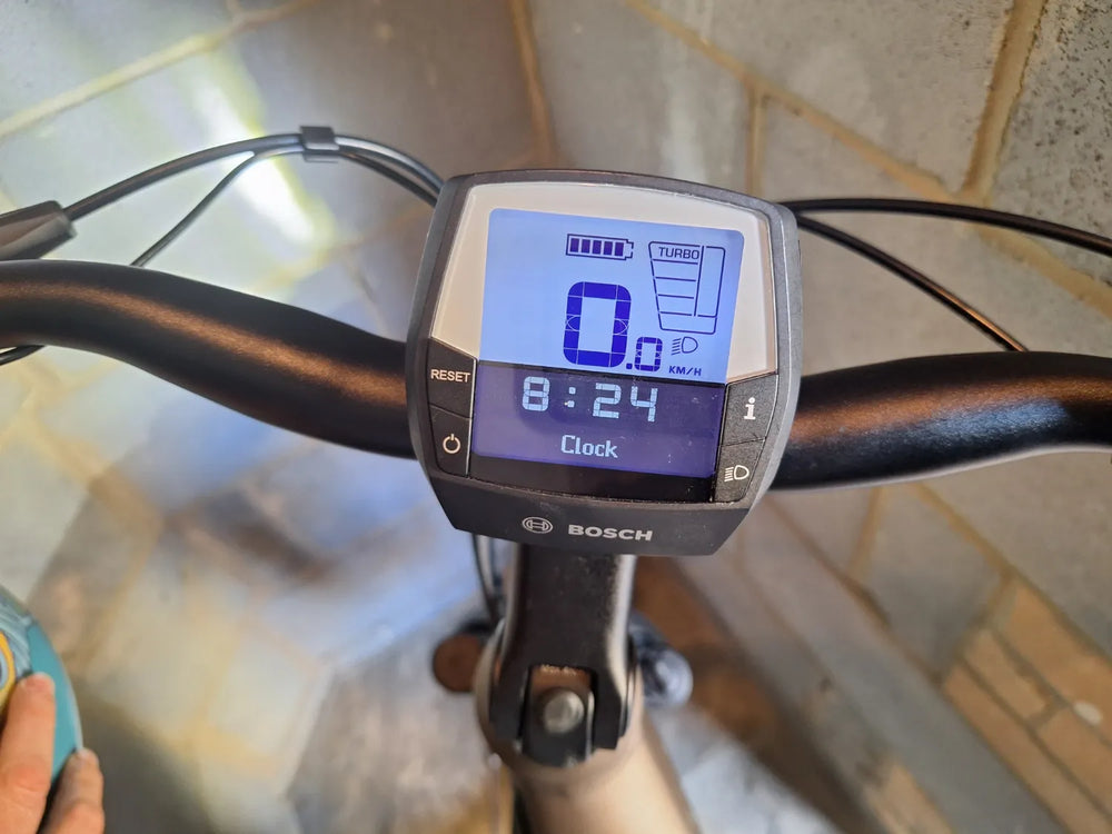 Raleigh Detour 2025
