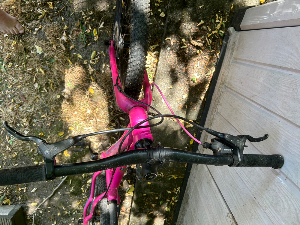 Merida Matts J. 24+ 2019