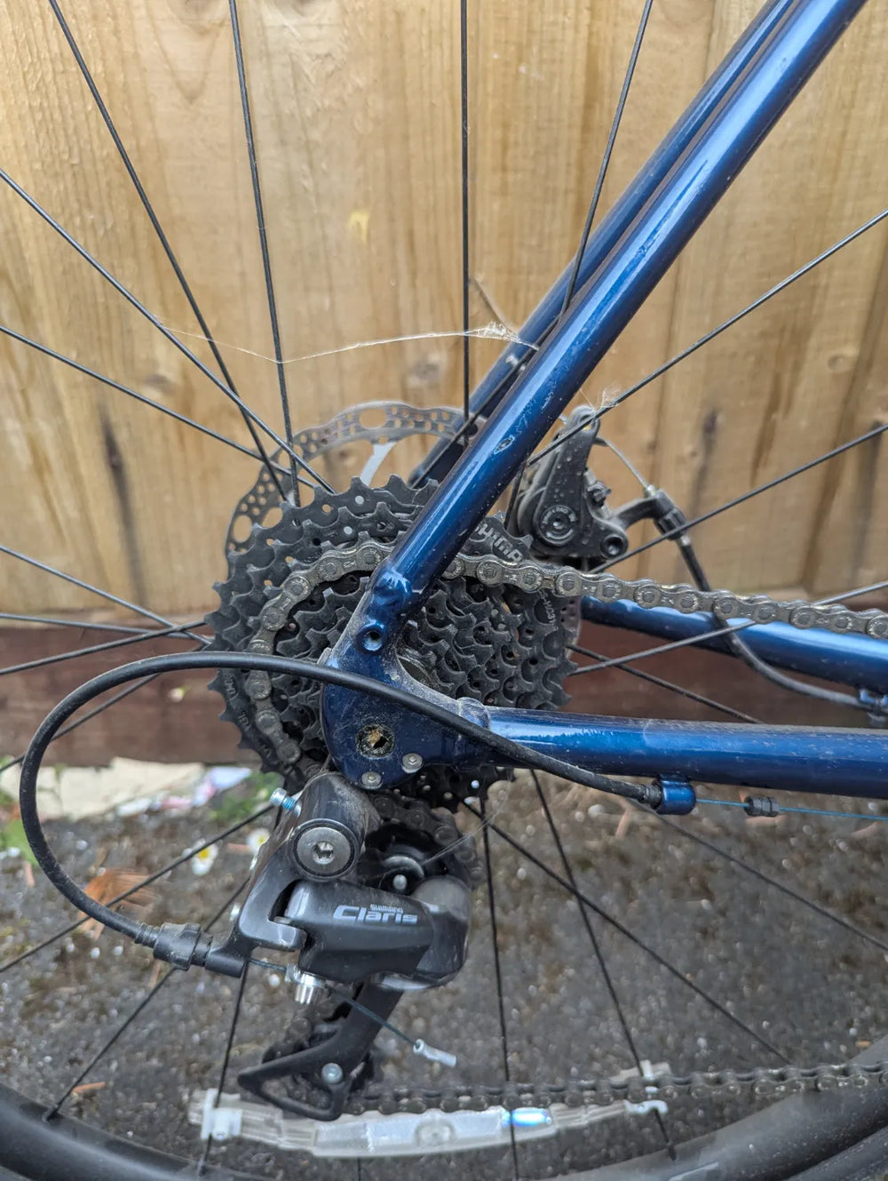 Trek Domane AL 2 Disc 2024