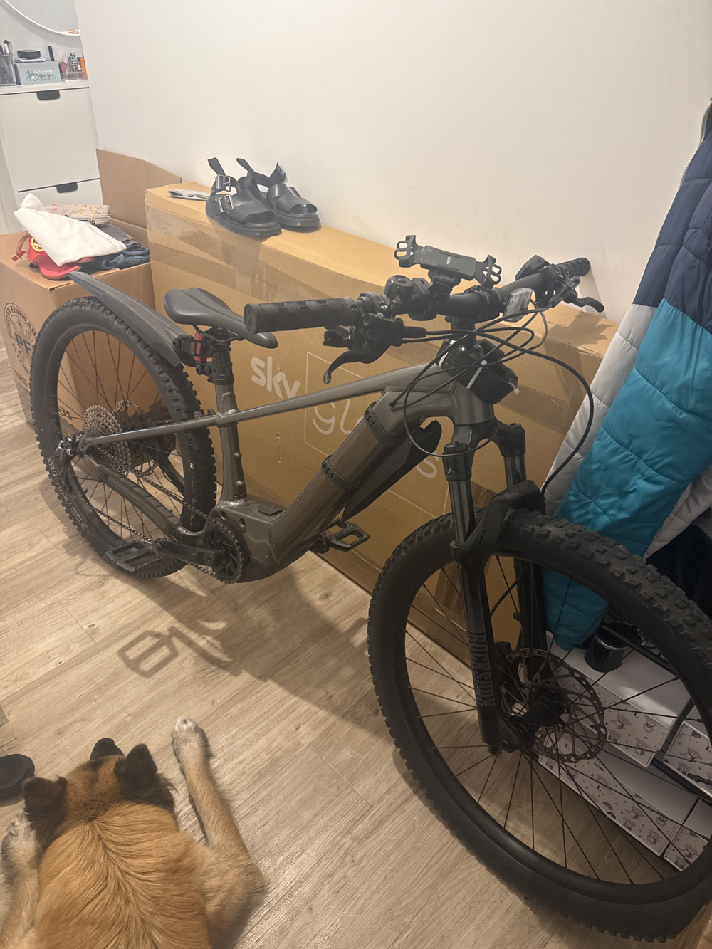 Trek Marlin+ 8 2024