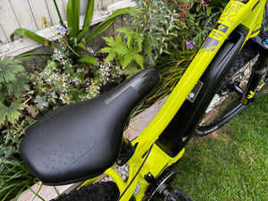 Lapierre Overvolt HT 24 Kids Child 2021