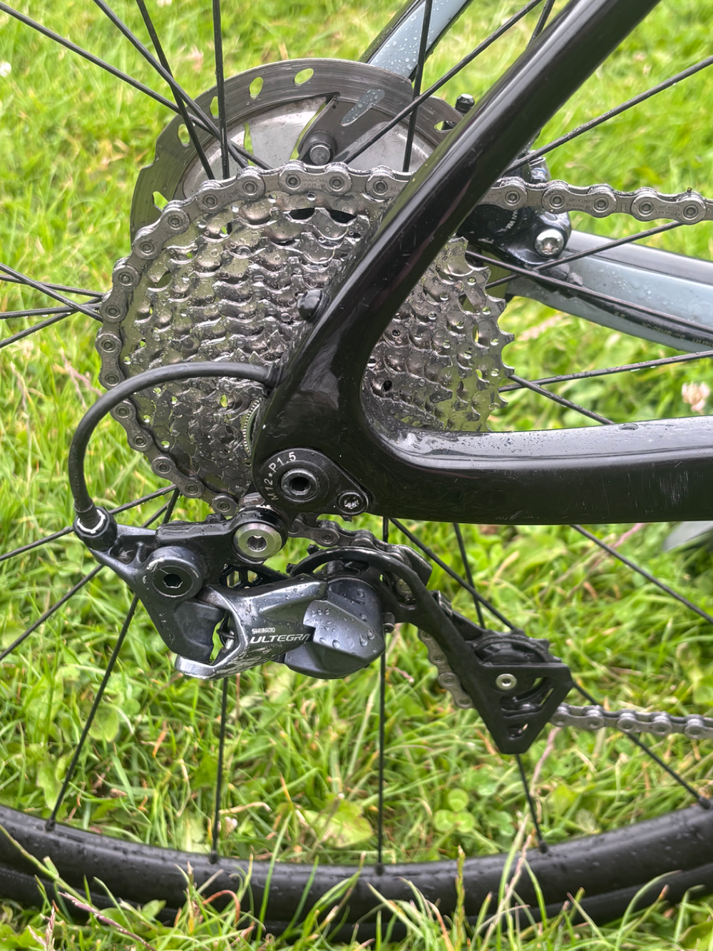 Ribble Endurance SL - Shimano Ultegra 2021