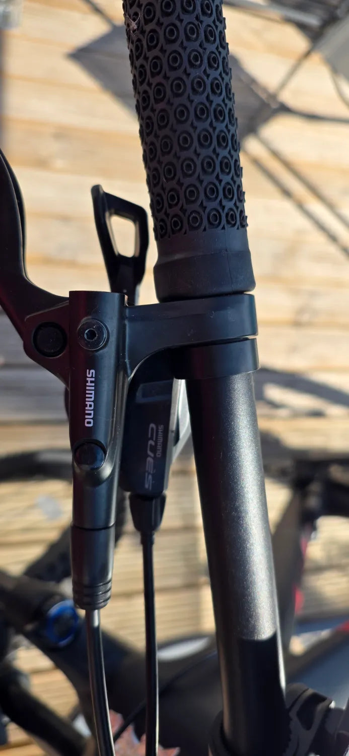Voodoo Bizango Carbon 2025