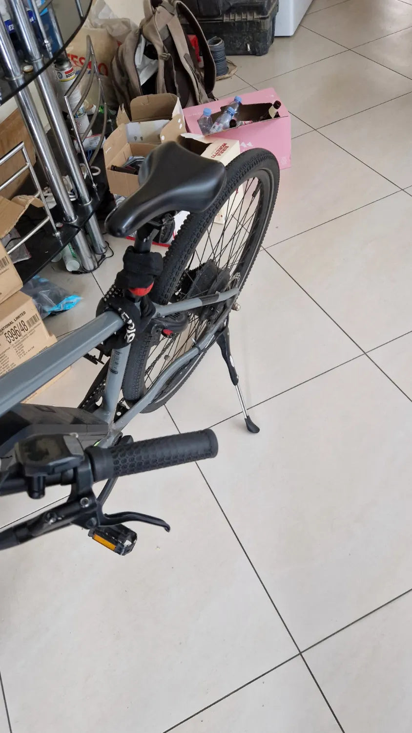 Ridgeback Arcus 1 2024