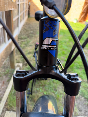 Carrera Hellcat 2023