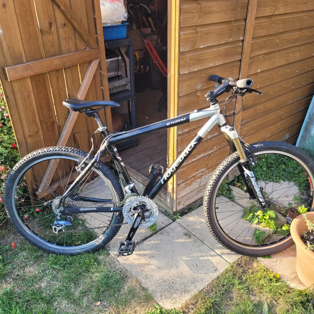 Ridgeback Storm 2014