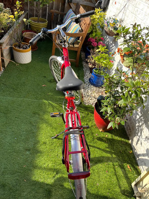 Raleigh Pioneer 2 2015