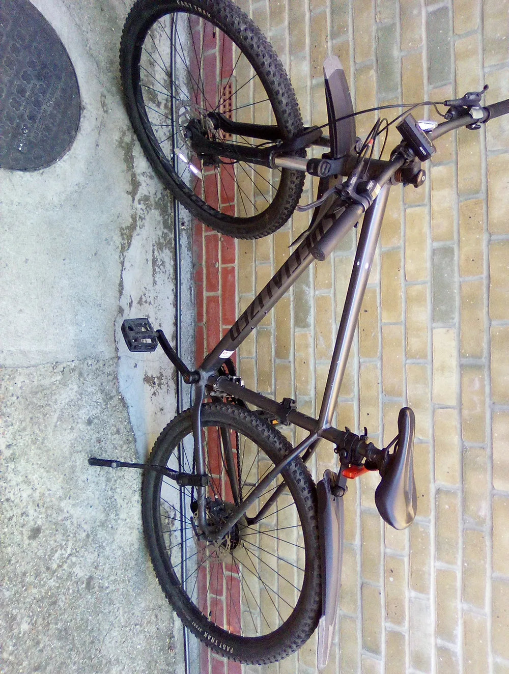 Specialized Rockhopper 29 2017