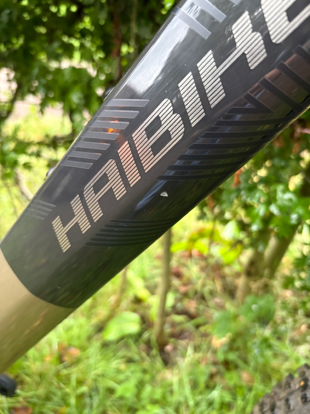 Haibike LYKE CF 11 2023