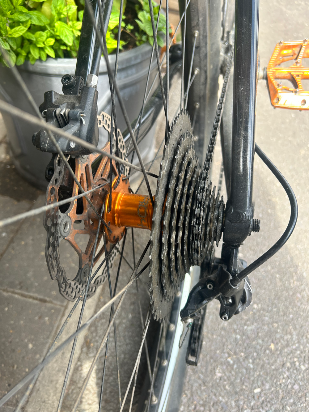 Vitus Venon 2022