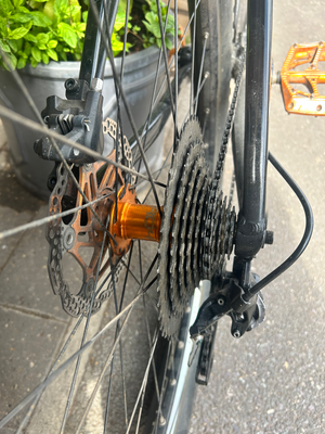 Vitus Venon 2022