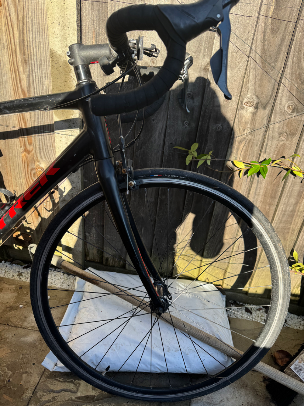 Trek Domane AL 2 2020