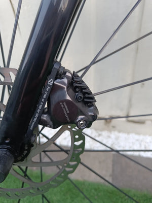 Giant Contend 1 2020 2021