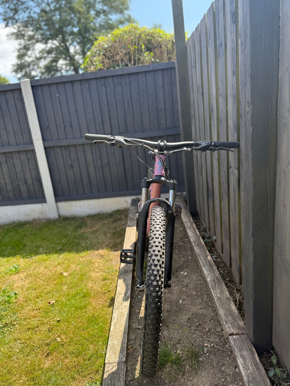 Specialized Pitch Sport 2020