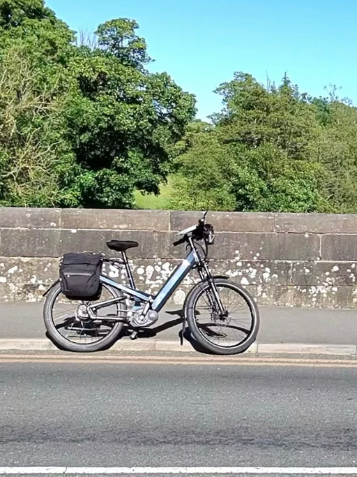Riese and Muller Homage GT Vario 2019