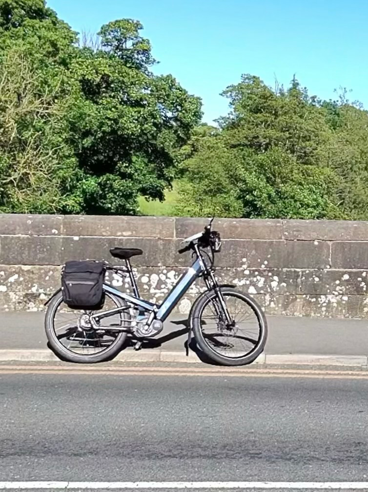 Riese and Muller Homage GT Vario 2019
