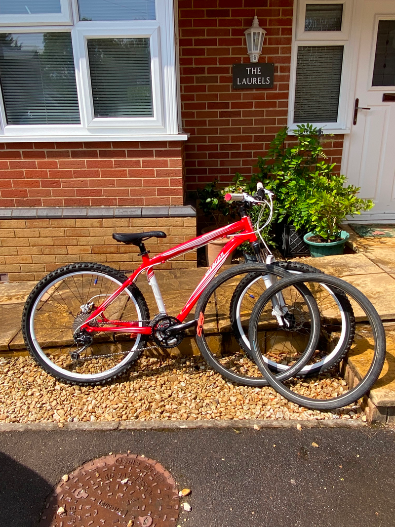 Specialized Rockhopper 26 2010