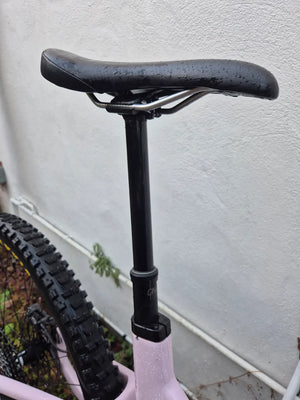 Forbidden Druid 2 29er 2025
