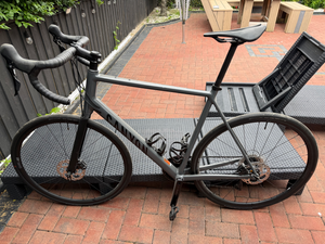 Canyon Endurace 7 RAW 2024