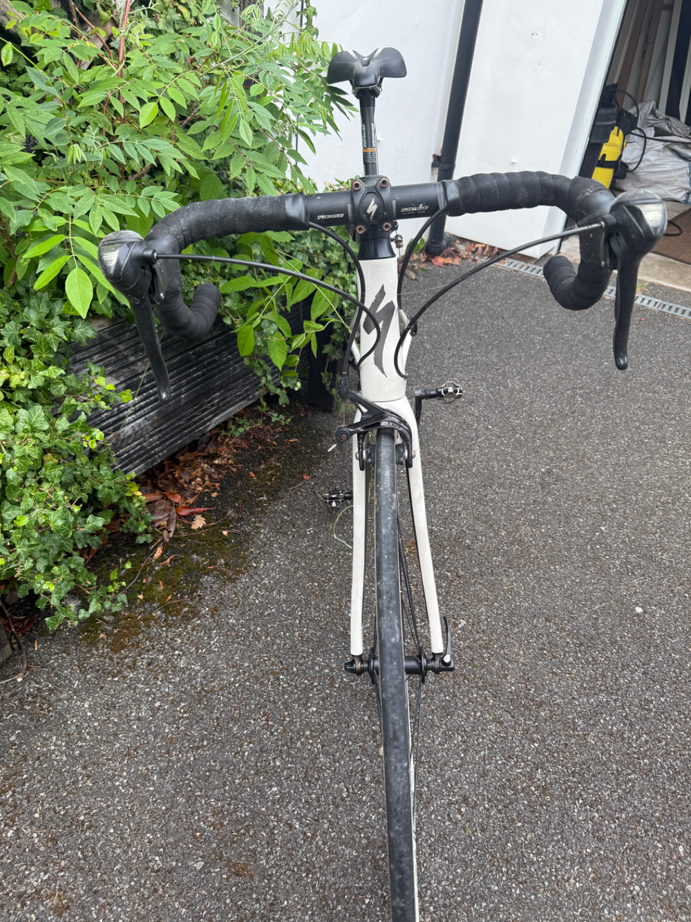 Specialized Roubaix 2013