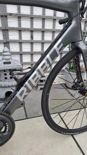 Ribble Endurance SL e, Shimano Tiagra 2019