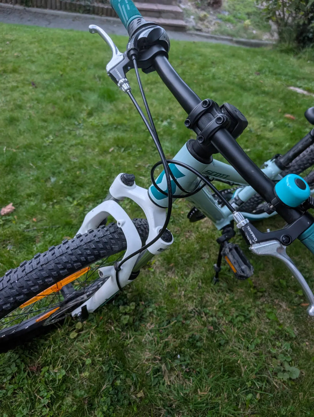 Scott Contessa 20 2022